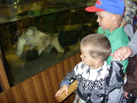 Grafika #22: WIZYTA W GDYŃSKIM OCEANARIUM