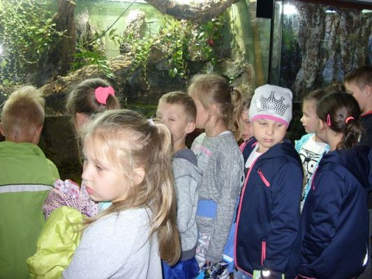 Grafika #23: WIZYTA W GDYŃSKIM OCEANARIUM