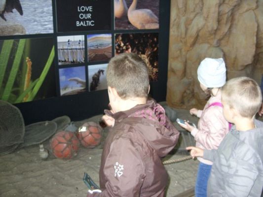 Grafika #24: WIZYTA W GDYŃSKIM OCEANARIUM