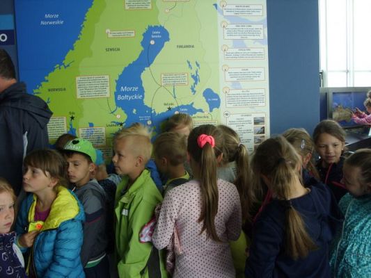 Grafika #28: WIZYTA W GDYŃSKIM OCEANARIUM