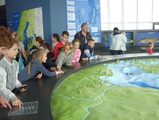 Grafika #29: WIZYTA W GDYŃSKIM OCEANARIUM