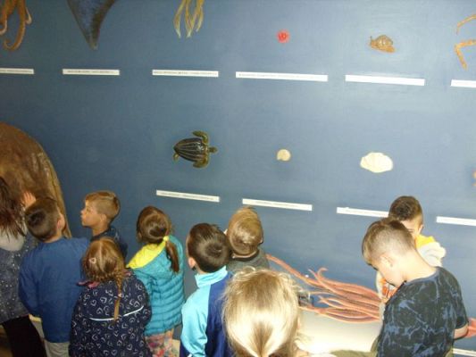 Grafika #30: WIZYTA W GDYŃSKIM OCEANARIUM