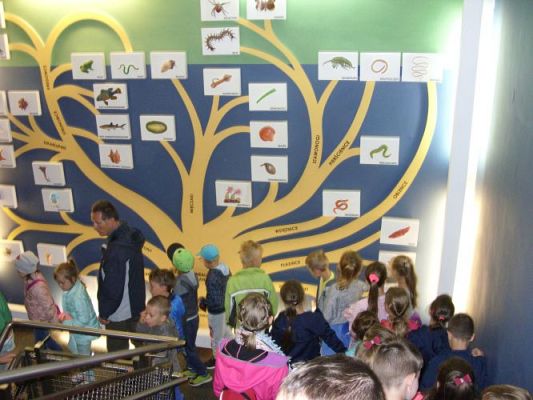 Grafika #31: WIZYTA W GDYŃSKIM OCEANARIUM