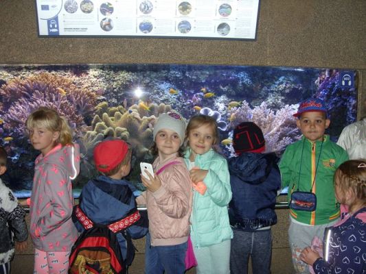 Grafika #34: WIZYTA W GDYŃSKIM OCEANARIUM