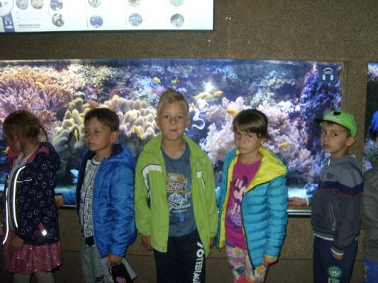 Grafika #35: WIZYTA W GDYŃSKIM OCEANARIUM