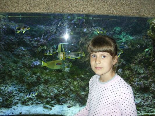 Grafika #38: WIZYTA W GDYŃSKIM OCEANARIUM