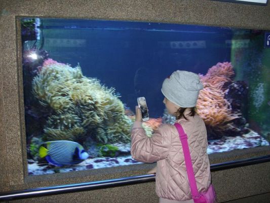 Grafika #39: WIZYTA W GDYŃSKIM OCEANARIUM