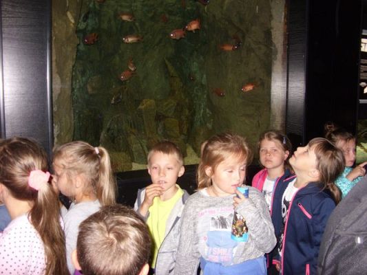 Grafika #42: WIZYTA W GDYŃSKIM OCEANARIUM