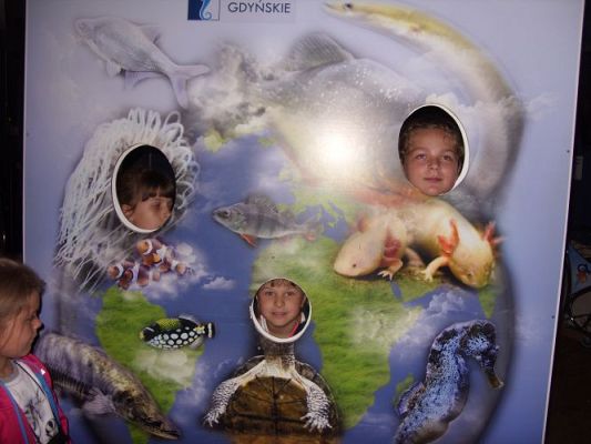Grafika #47: WIZYTA W GDYŃSKIM OCEANARIUM