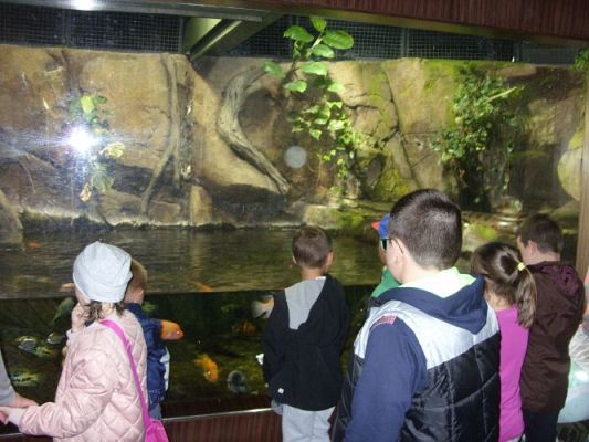 Grafika #49: WIZYTA W GDYŃSKIM OCEANARIUM