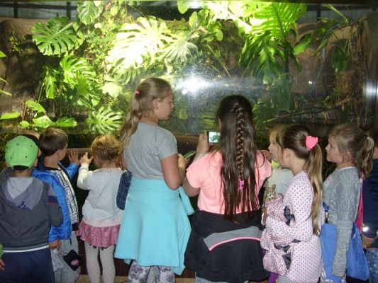 Grafika #50: WIZYTA W GDYŃSKIM OCEANARIUM