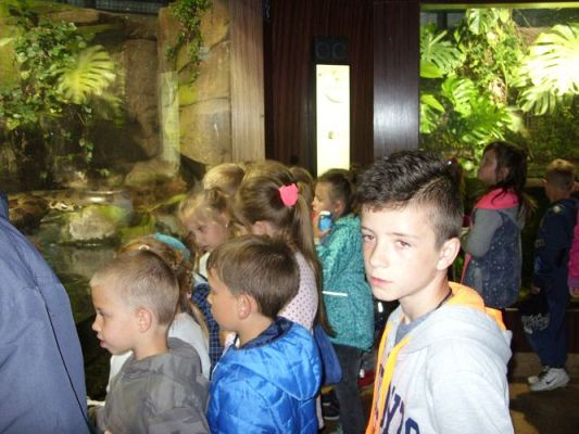 Grafika #53: WIZYTA W GDYŃSKIM OCEANARIUM