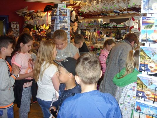 Grafika #57: WIZYTA W GDYŃSKIM OCEANARIUM