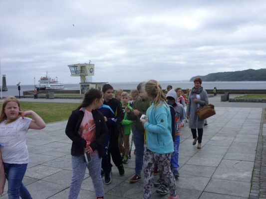 Grafika #61: WIZYTA W GDYŃSKIM OCEANARIUM