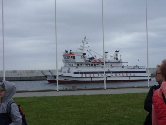 Grafika #62: WIZYTA W GDYŃSKIM OCEANARIUM