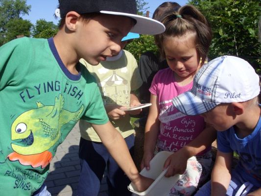 Grafika #9: Zabawa w podchody