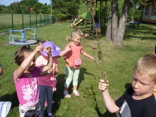 Grafika #17: Zabawa w podchody