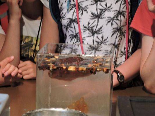 Grafika #39: Wycieczka do Malborka i Sztutowa