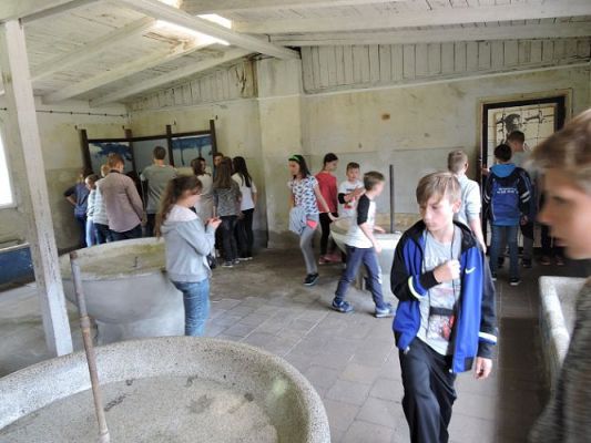 Grafika #78: Wycieczka do Malborka i Sztutowa