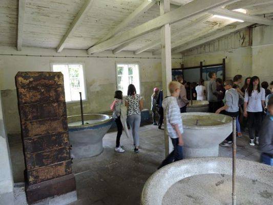 Grafika #79: Wycieczka do Malborka i Sztutowa