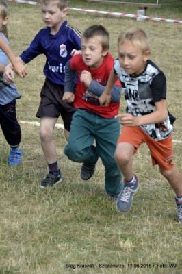 Grafika #7: Gminne Biegi Krasnali