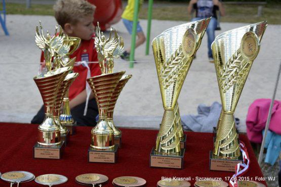 Grafika #22: Gminne Biegi Krasnali