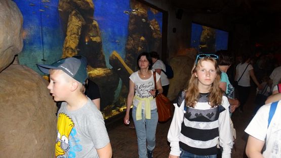 Grafika #25: Wycieczka do Doliny Kłodzkiej