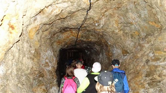 Grafika #86: Wycieczka do Doliny Kłodzkiej