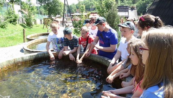 Grafika #118: Wycieczka do Doliny Kłodzkiej