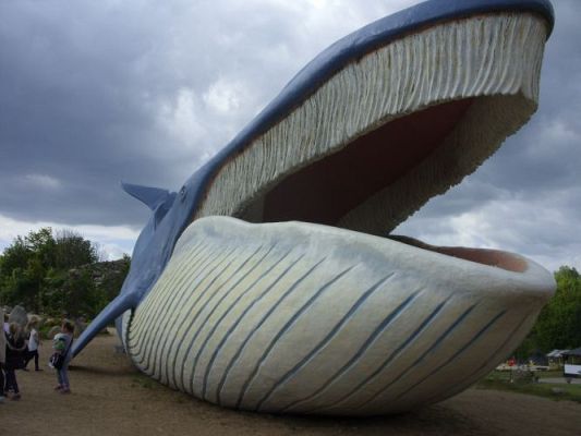 Grafika #7: Wycieczka kl. 0 - III do Władysławowa