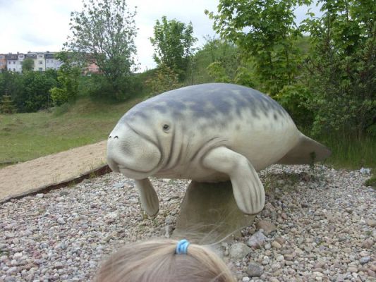 Grafika #12: Wycieczka kl. 0 - III do Władysławowa