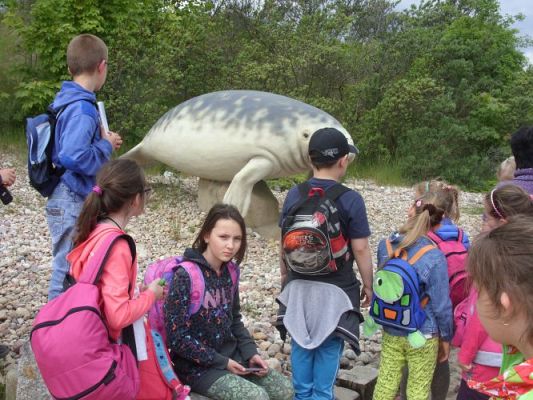 Grafika #13: Wycieczka kl. 0 - III do Władysławowa