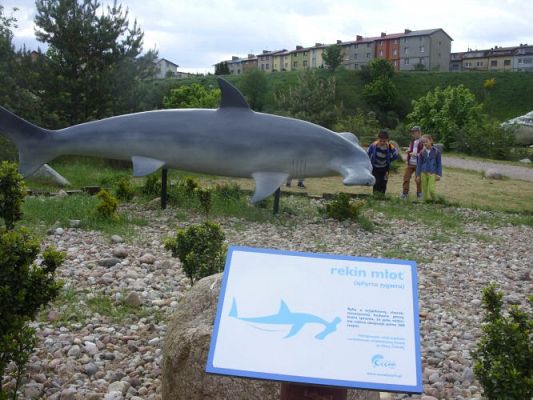 Grafika #14: Wycieczka kl. 0 - III do Władysławowa