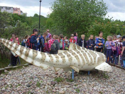 Grafika #15: Wycieczka kl. 0 - III do Władysławowa