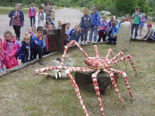 Grafika #17: Wycieczka kl. 0 - III do Władysławowa
