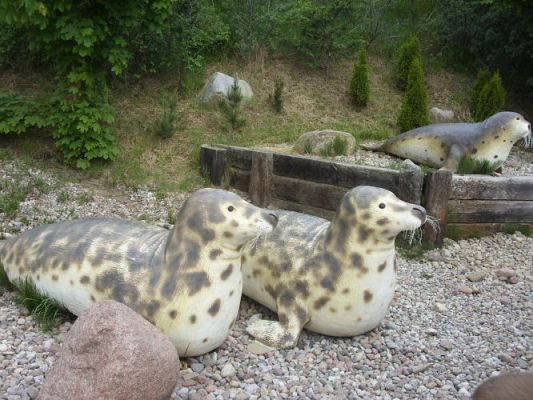 Grafika #19: Wycieczka kl. 0 - III do Władysławowa