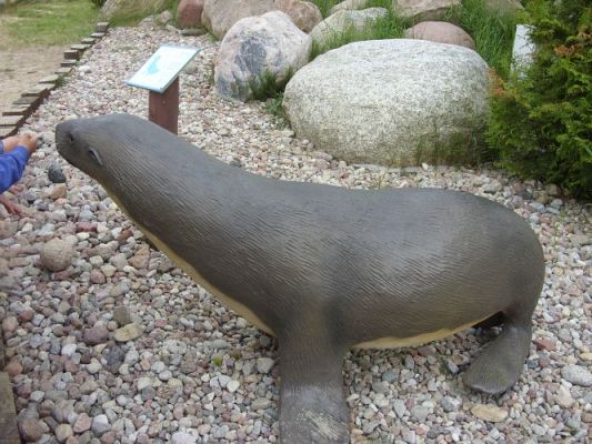 Grafika #21: Wycieczka kl. 0 - III do Władysławowa