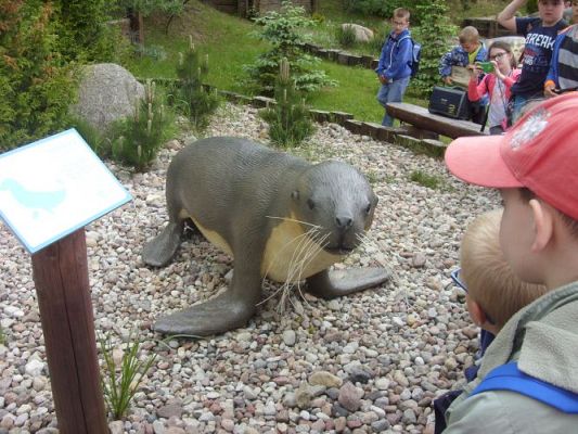 Grafika #22: Wycieczka kl. 0 - III do Władysławowa