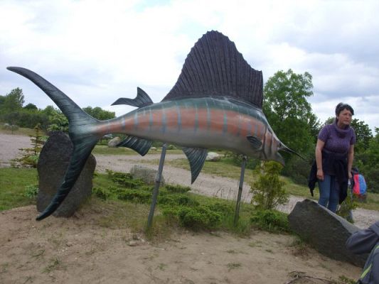 Grafika #24: Wycieczka kl. 0 - III do Władysławowa