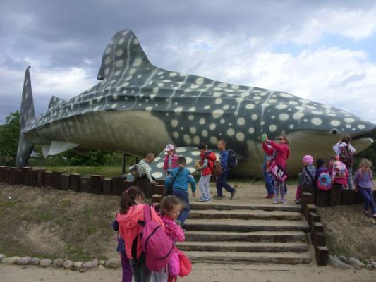 Grafika #26: Wycieczka kl. 0 - III do Władysławowa