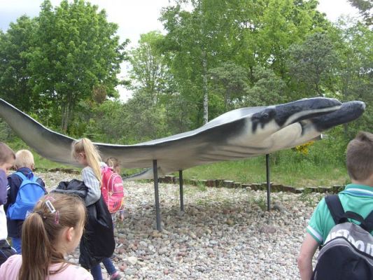 Grafika #33: Wycieczka kl. 0 - III do Władysławowa