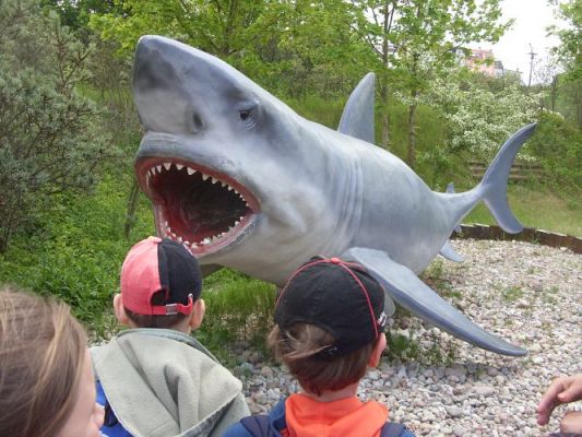 Grafika #35: Wycieczka kl. 0 - III do Władysławowa