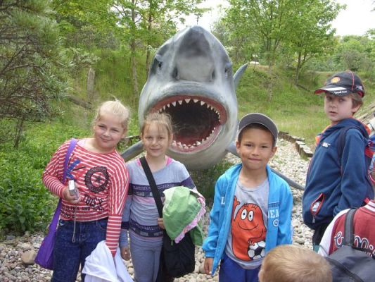 Grafika #37: Wycieczka kl. 0 - III do Władysławowa