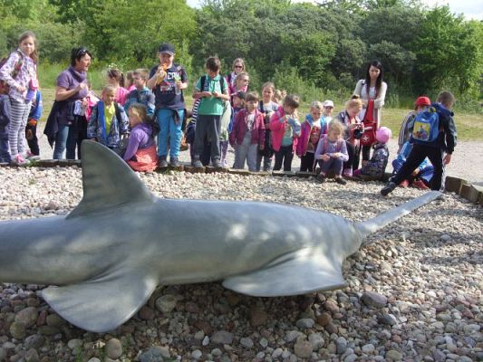 Grafika #39: Wycieczka kl. 0 - III do Władysławowa