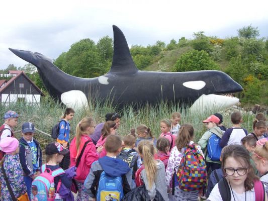 Grafika #42: Wycieczka kl. 0 - III do Władysławowa