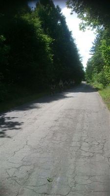 Grafika #2: Biwak klasy piątej