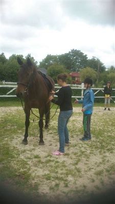 Grafika #12: Biwak klasy piątej