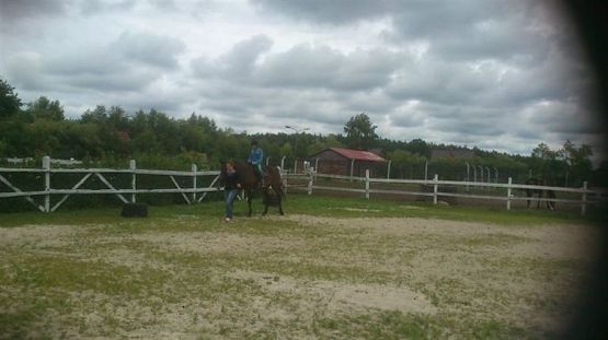 Grafika #14: Biwak klasy piątej