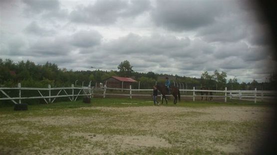 Grafika #16: Biwak klasy piątej