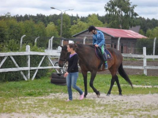 Grafika #75: Biwak klasy piątej